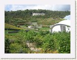 0940-Eden Project * 800 x 600 * (130KB)